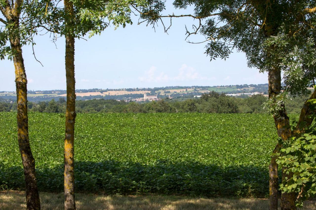 Les Hauts De Condom Appartements Climatises Buitenkant foto